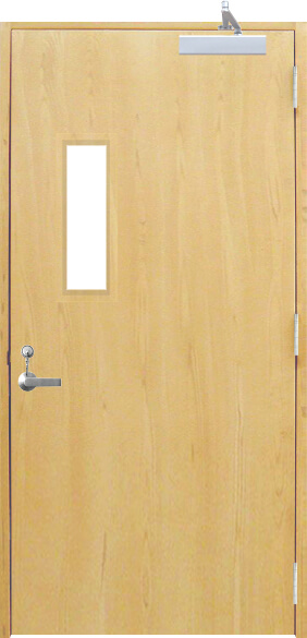 flush with vision style door